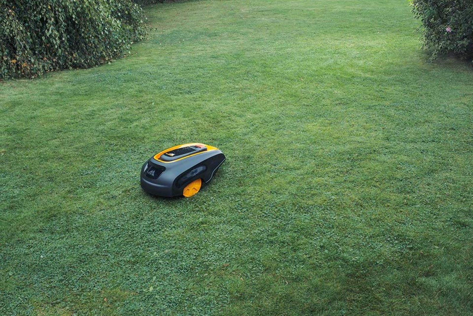 The best robot lawn mowers 2024 Sit back and watch