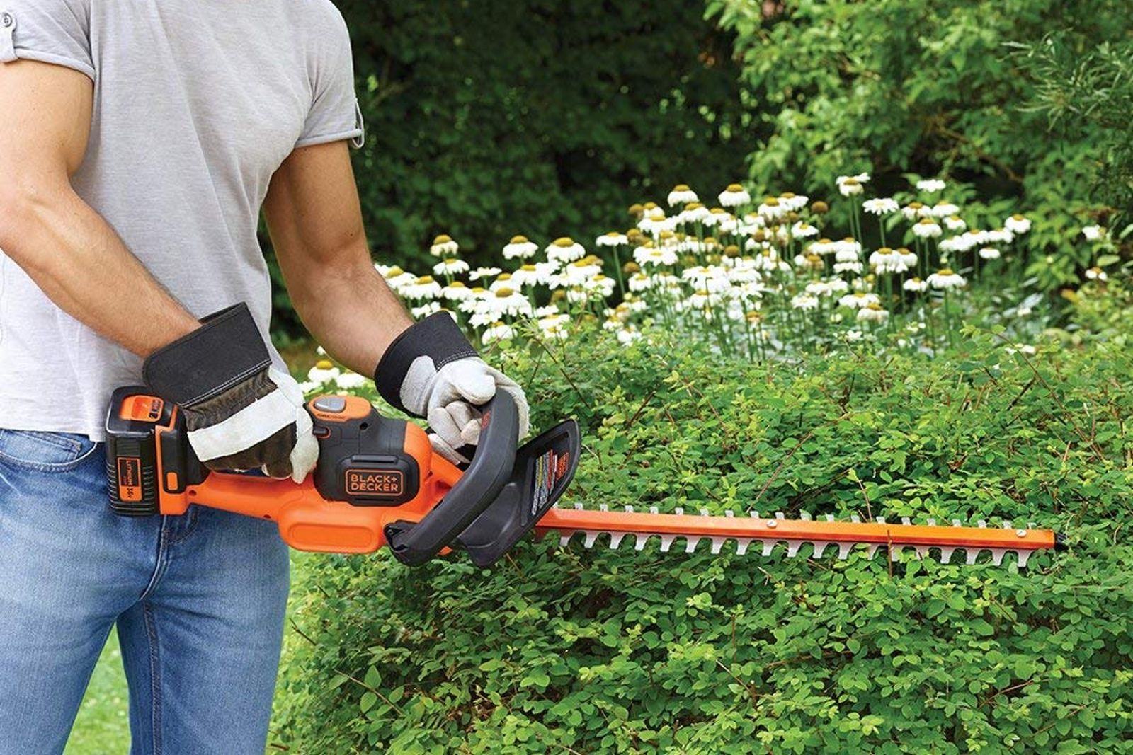 Best cordless hedge trimmers photo 1