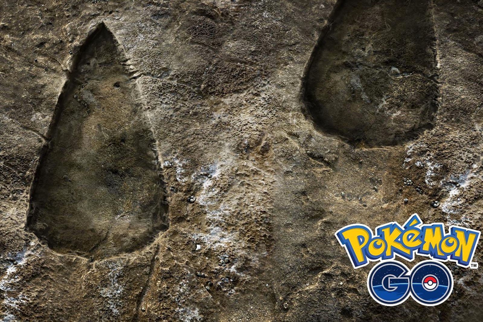 Pokemon Go teases new Mythical Pokemon Is it Genesect image 1