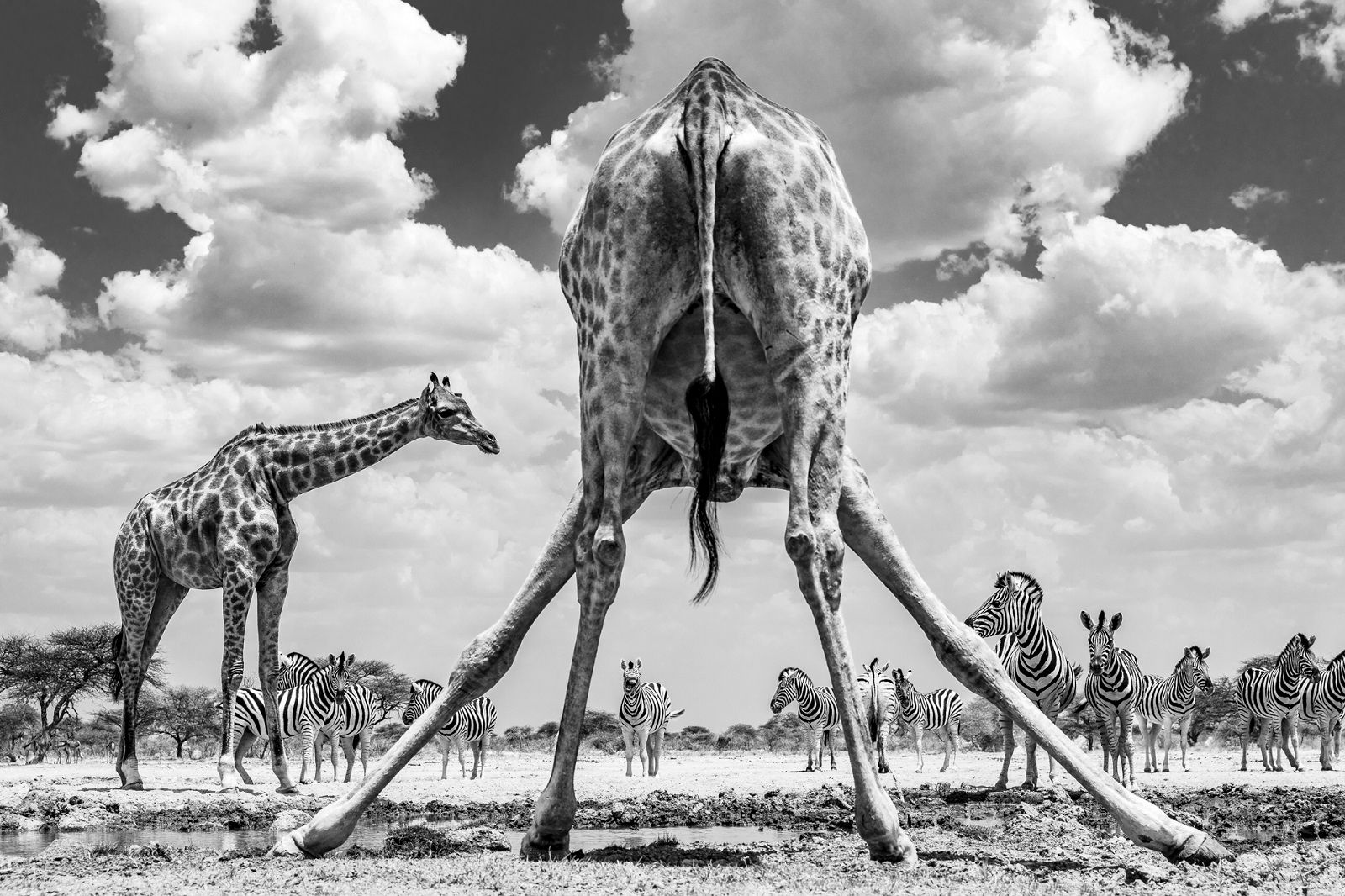 Stunning Photos From The National Sony World Photography Awards 2020 image 1
