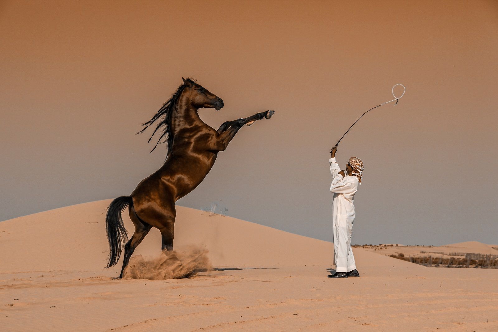 Stunning Photos From The National Sony World Photography Awards 2020 image 1