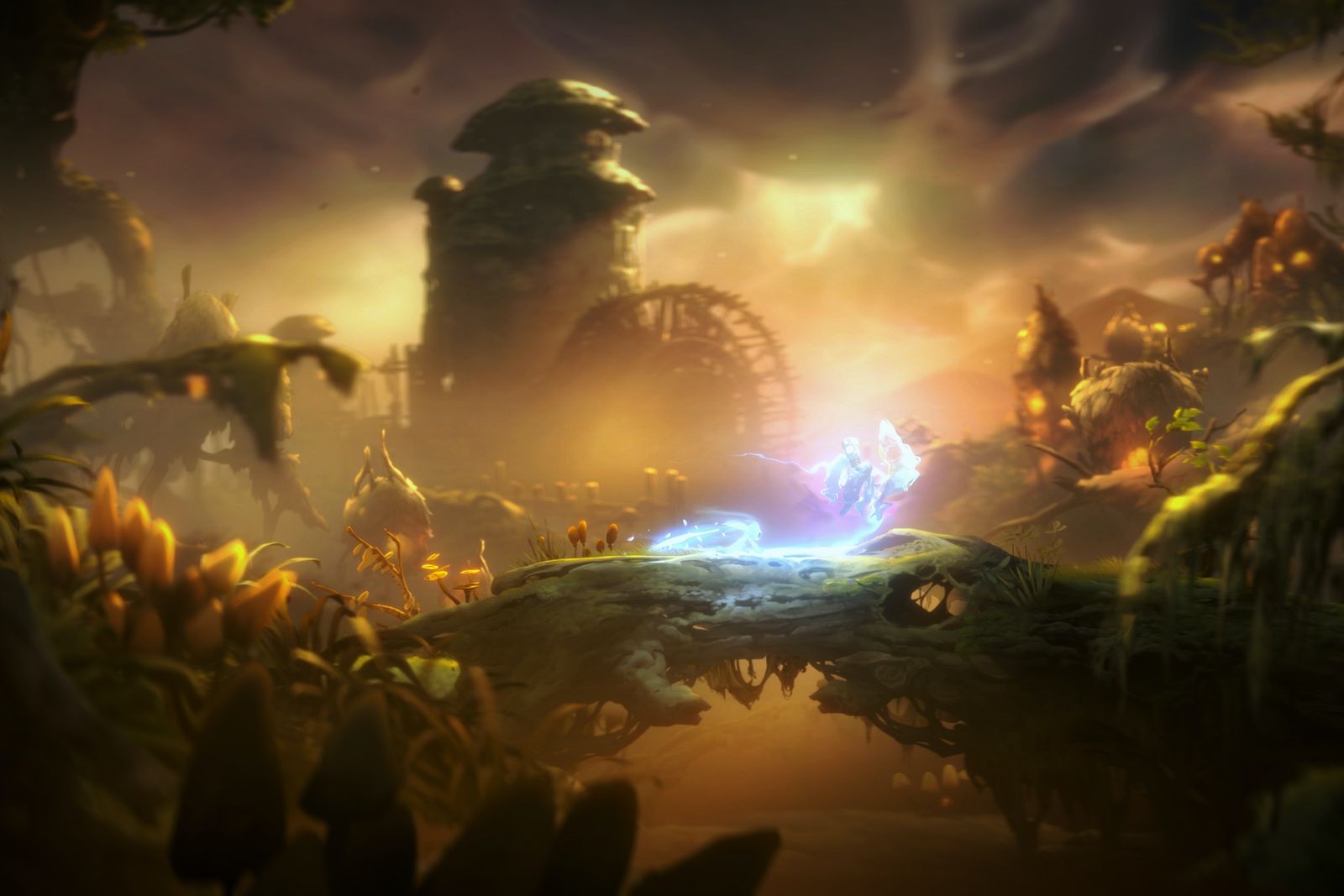 Ori and the Will of the Wisps review The imitation game image 2