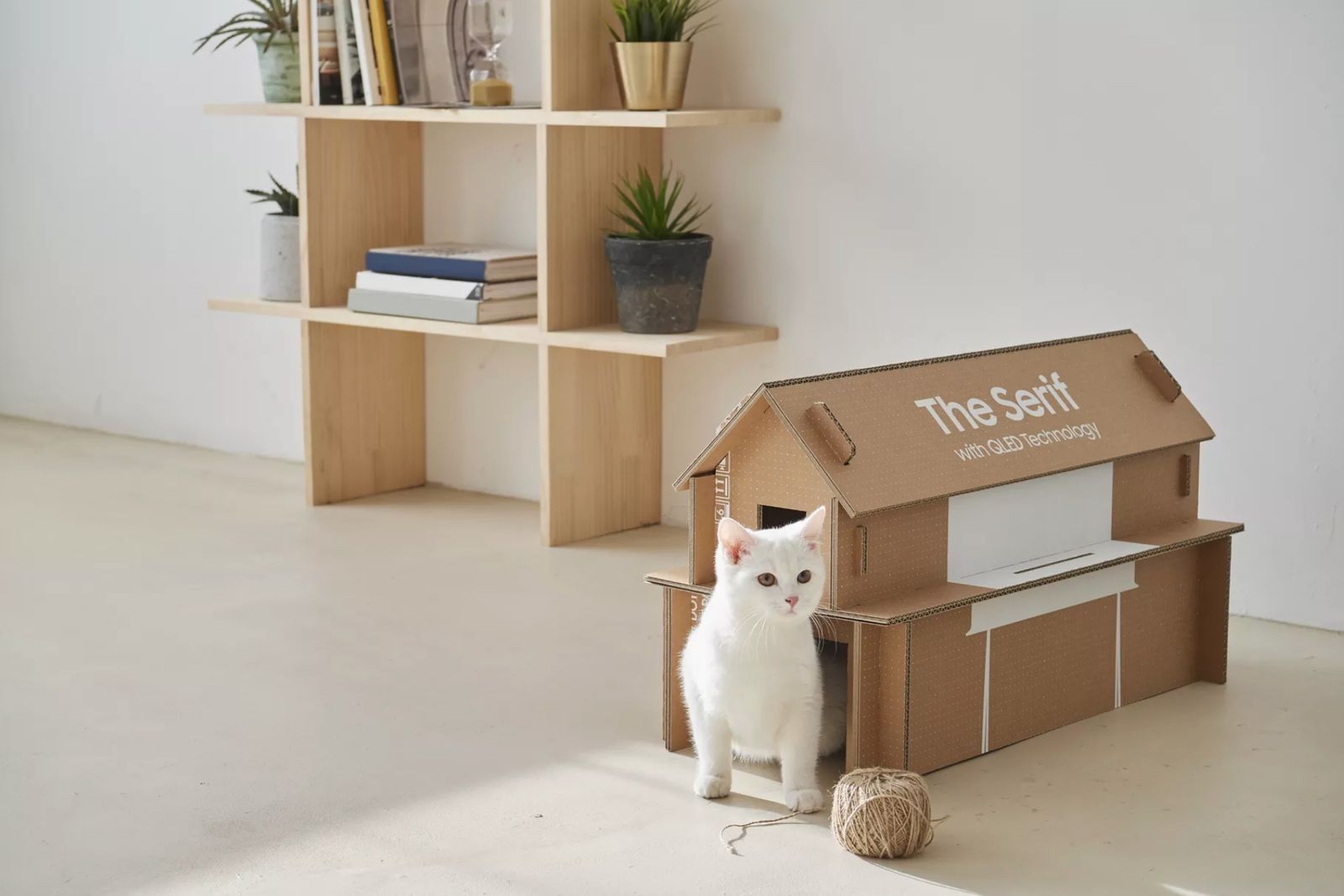 Some of Samsungs TV packaging can now be recycled into a cat house image 1