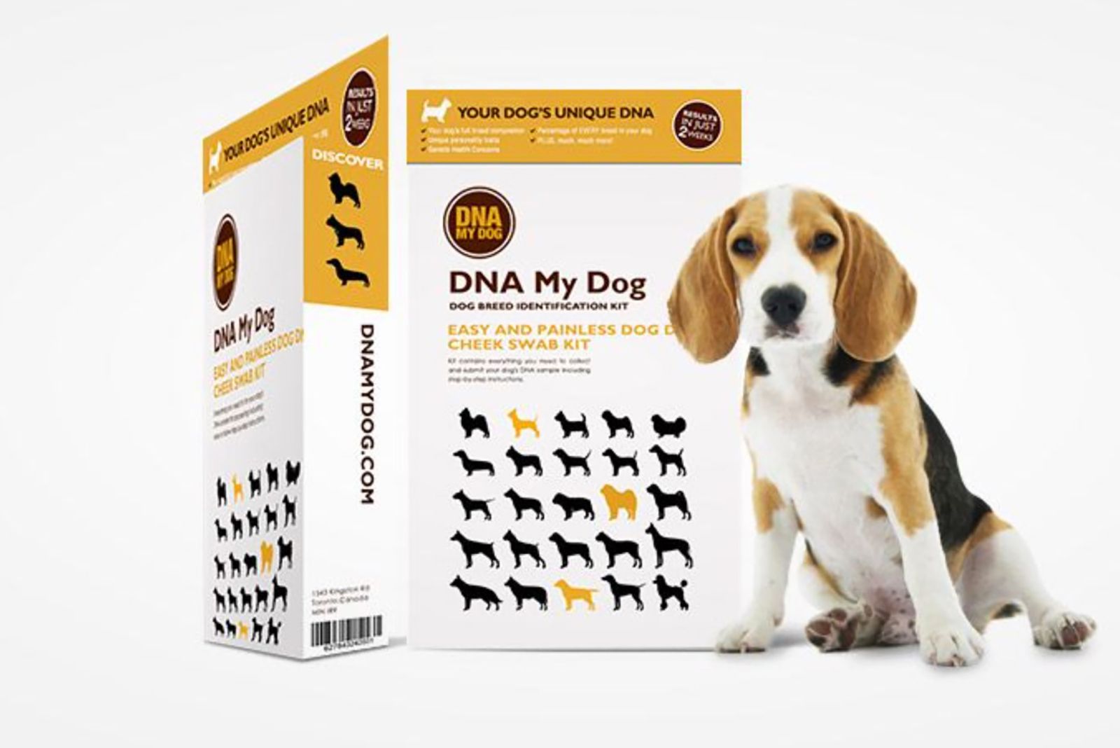 Best dog DNA tests 2020 The top ancestry and health screening kits for dogs image 1