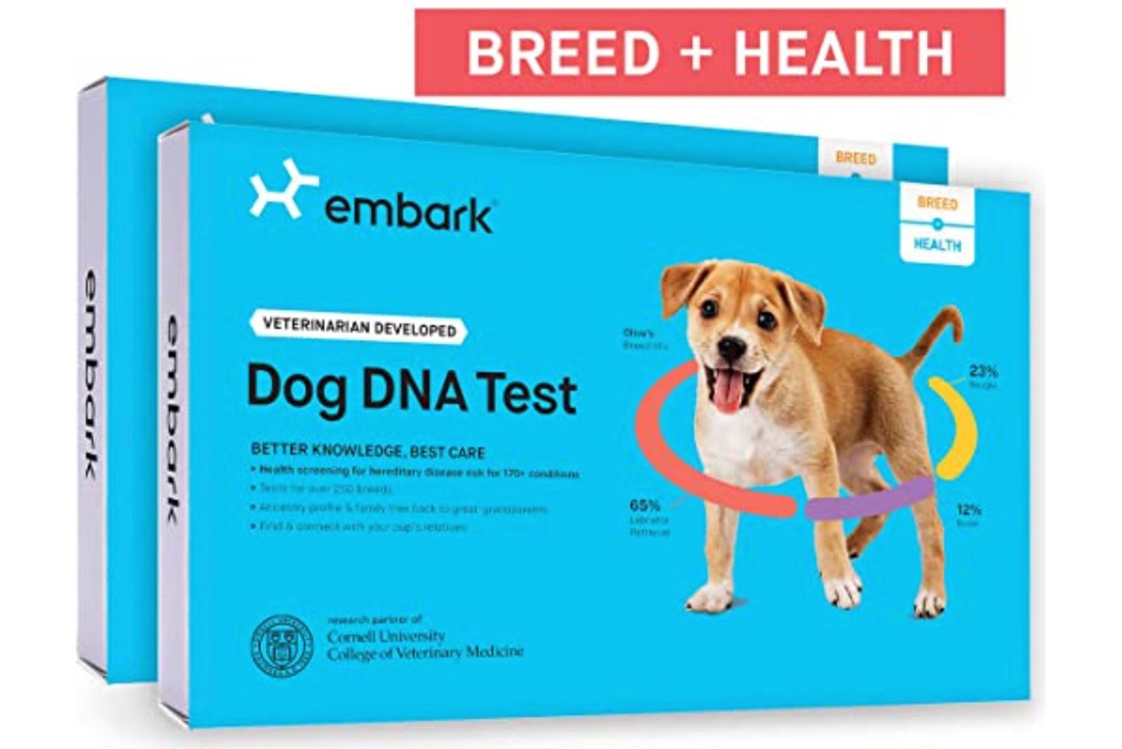 Best dog DNA tests 2020 The top ancestry and health screening kits for dogs image 1