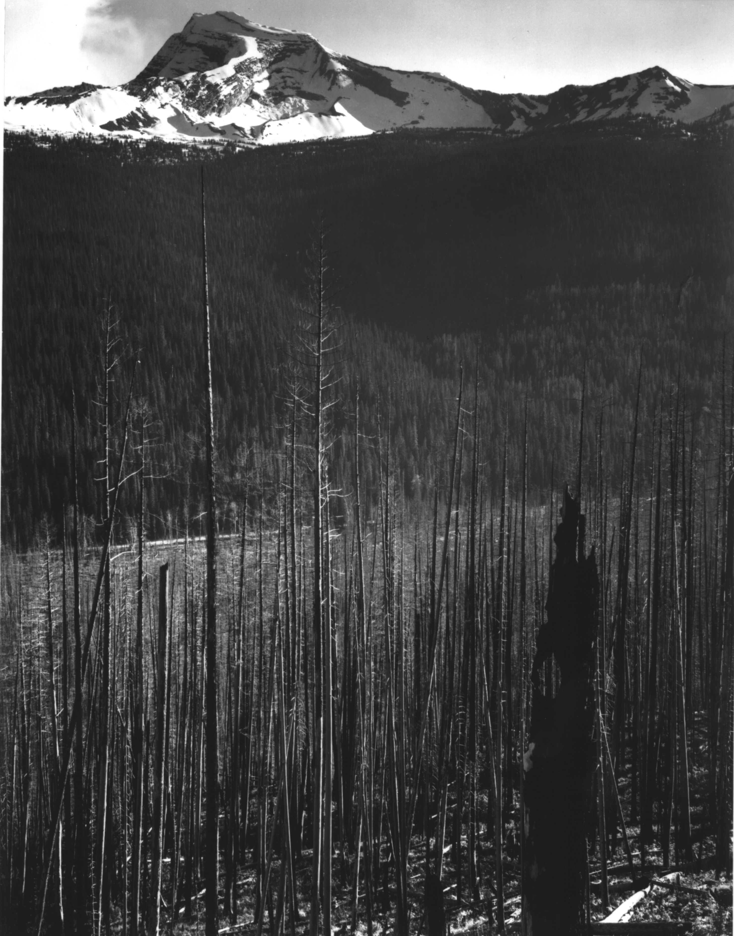 These stunning Ansel Adams photographs show the great outdoors in all its glory image 122