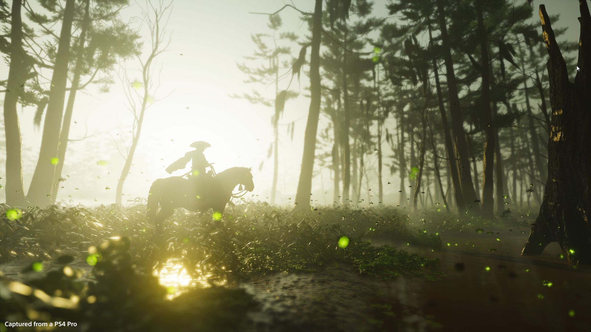 Ghost of Tsushima review: Jin is a real open world tonic photo 33
