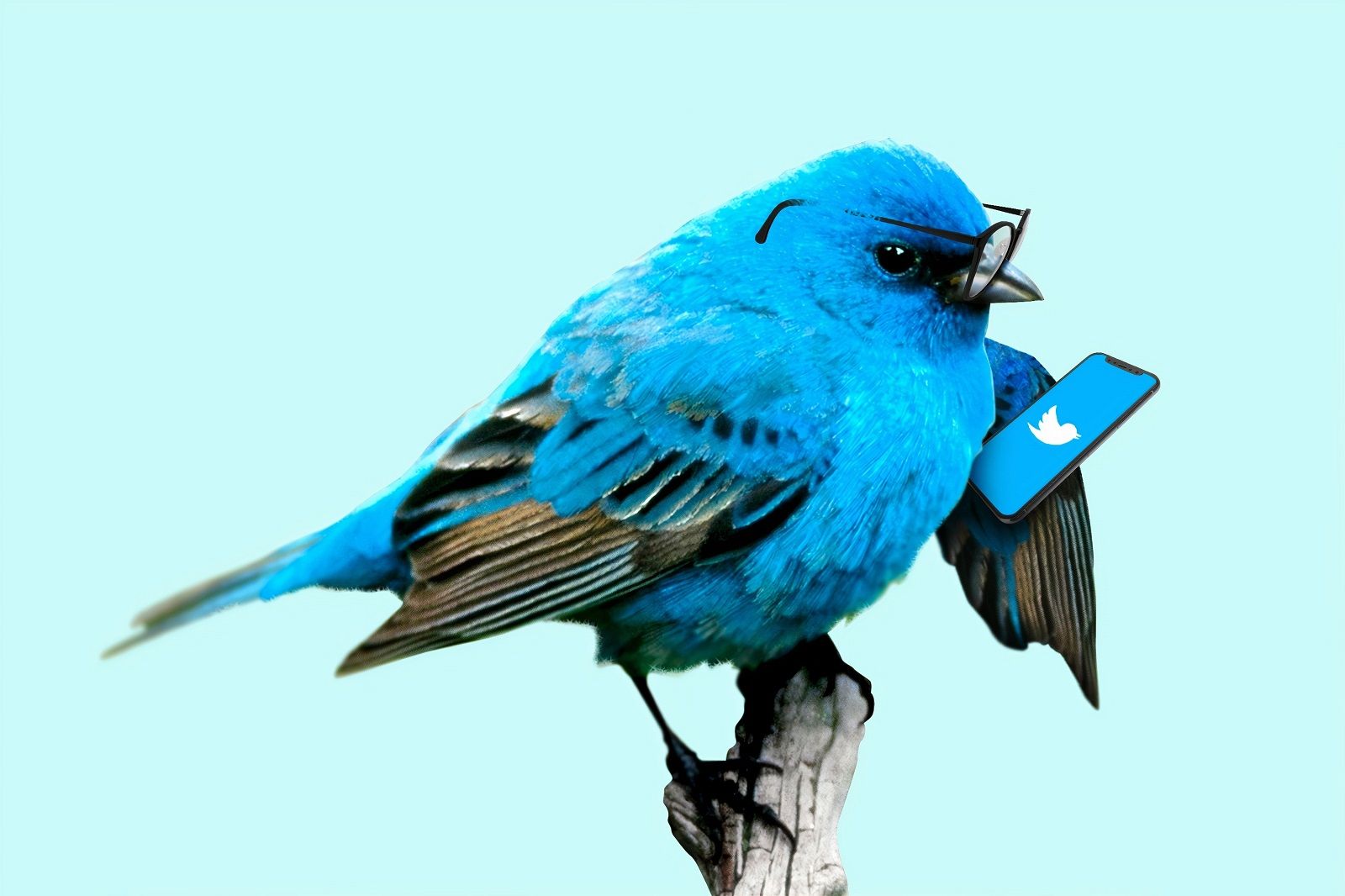 Twitter security flaw may have exposed your direct messages photo 1