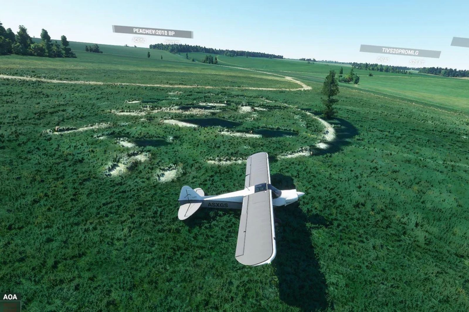 These amazing Flight Simulator glitches and mistakes are seriously amazing photo 10