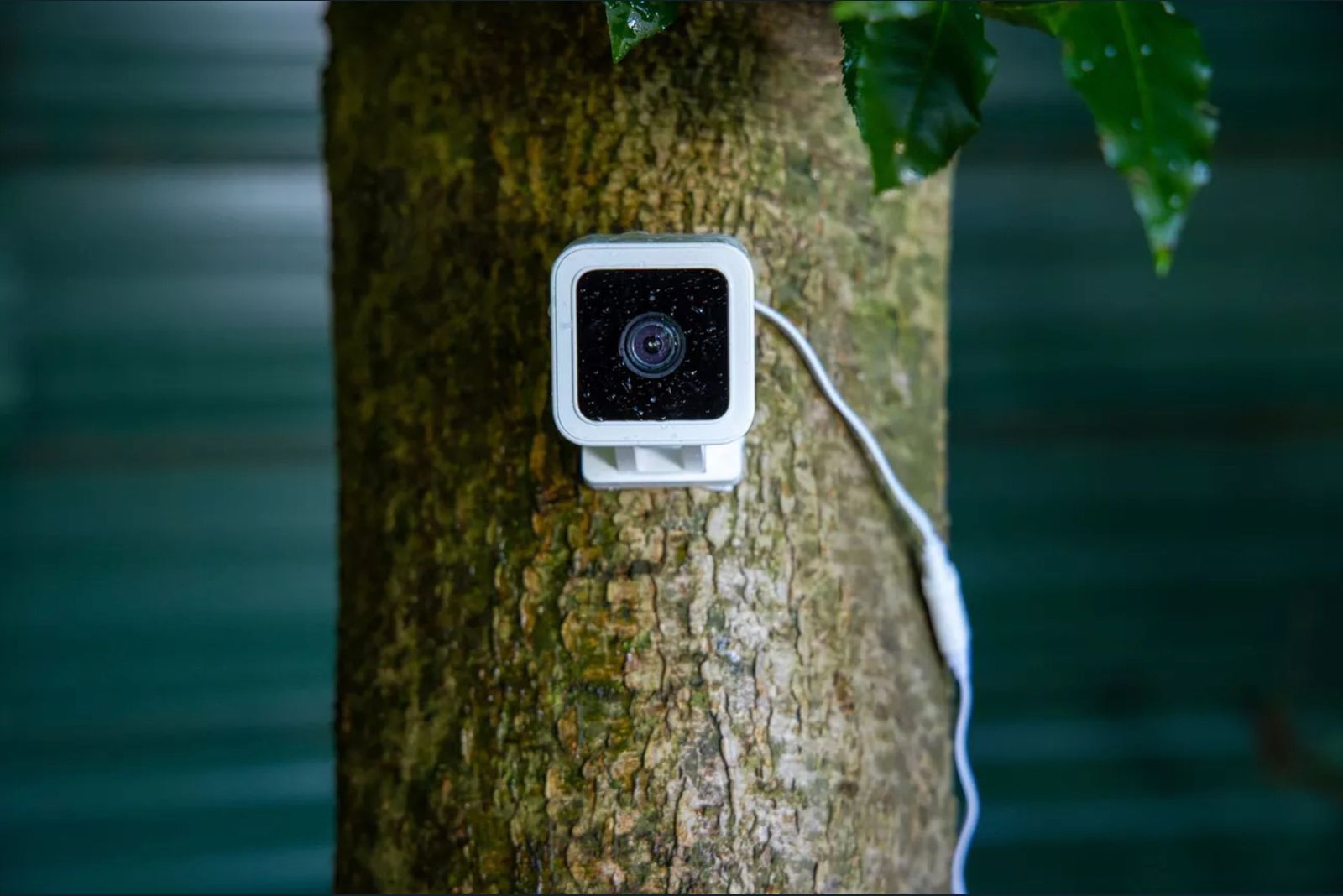 Wyze's $20 outdoor security camera packs colour night vision and two-way talk photo 1