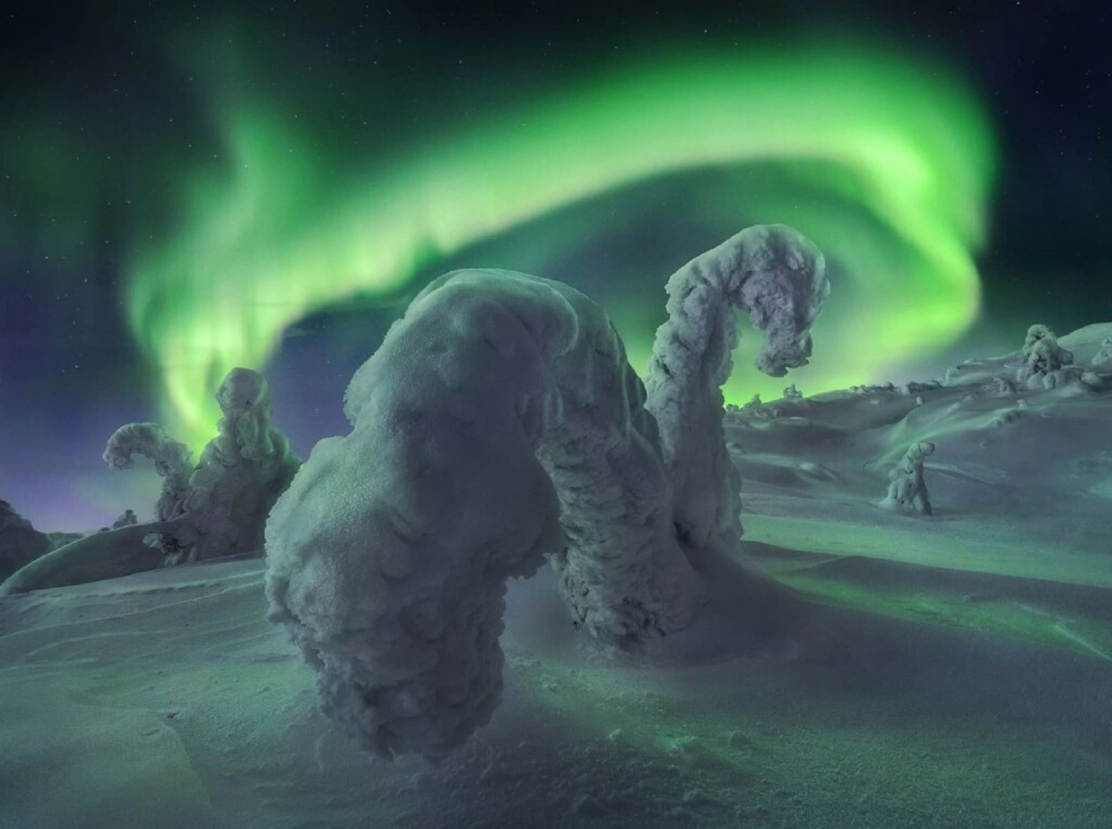 10 epic images from the Northern Lights Photographer of the Year Competition photo 13