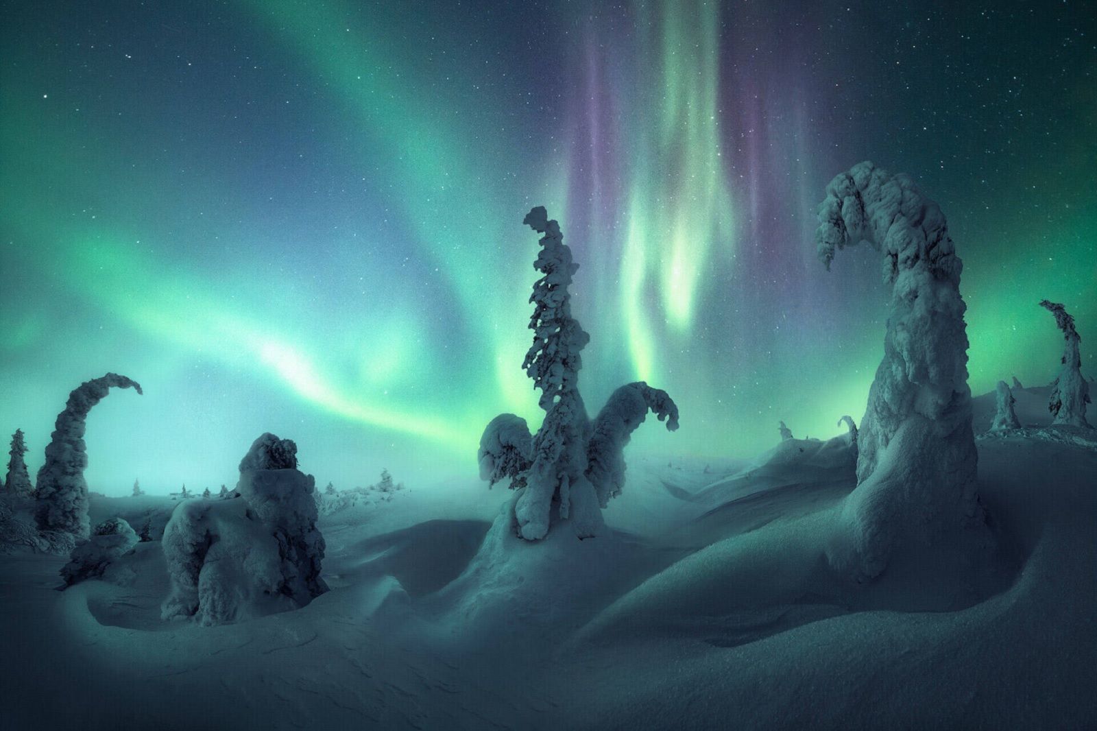 10 epic images from the Northern Lights Photographer of the Year Competition photo 19