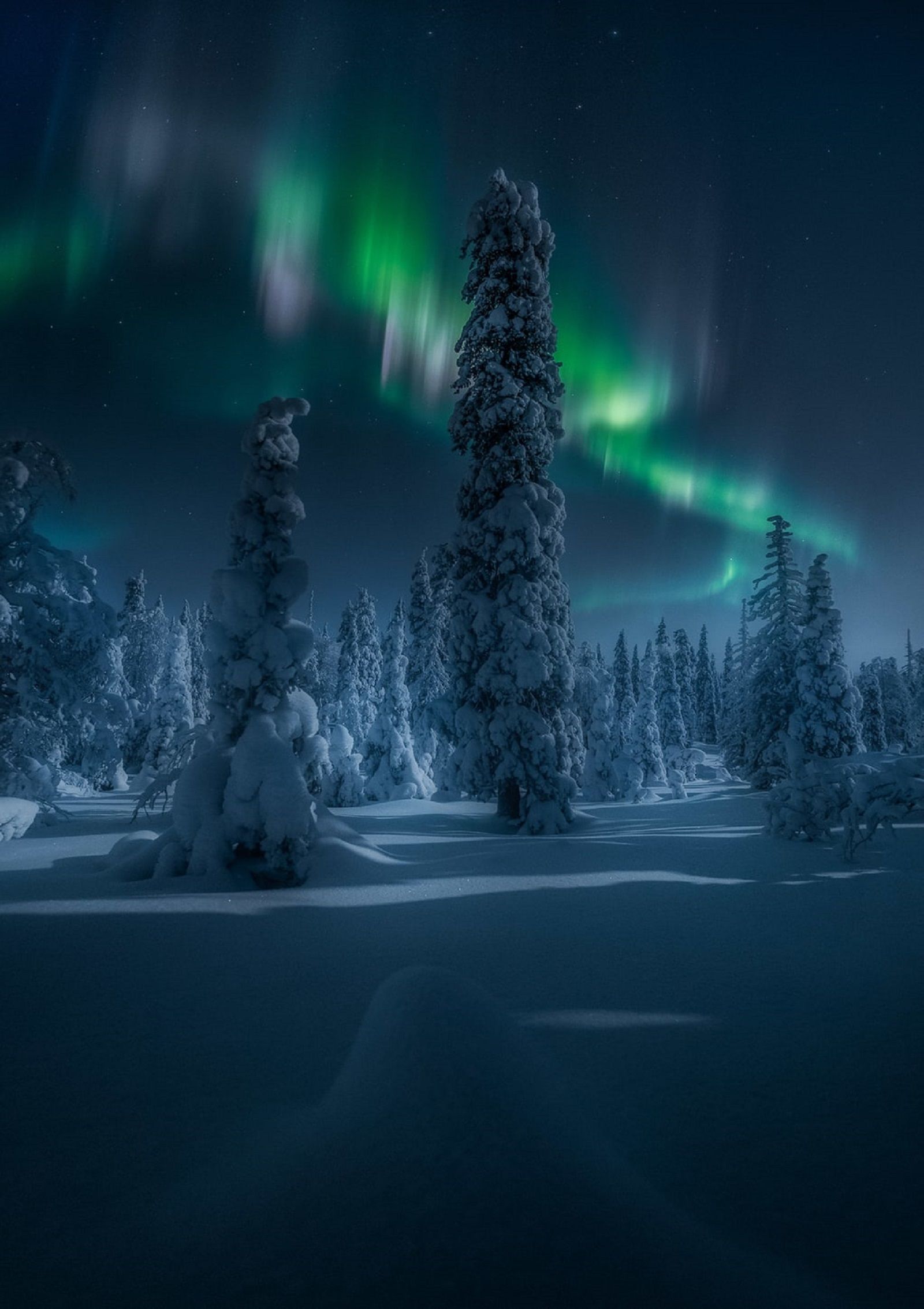 10 epic images from the Northern Lights Photographer of the Year Competition photo 6