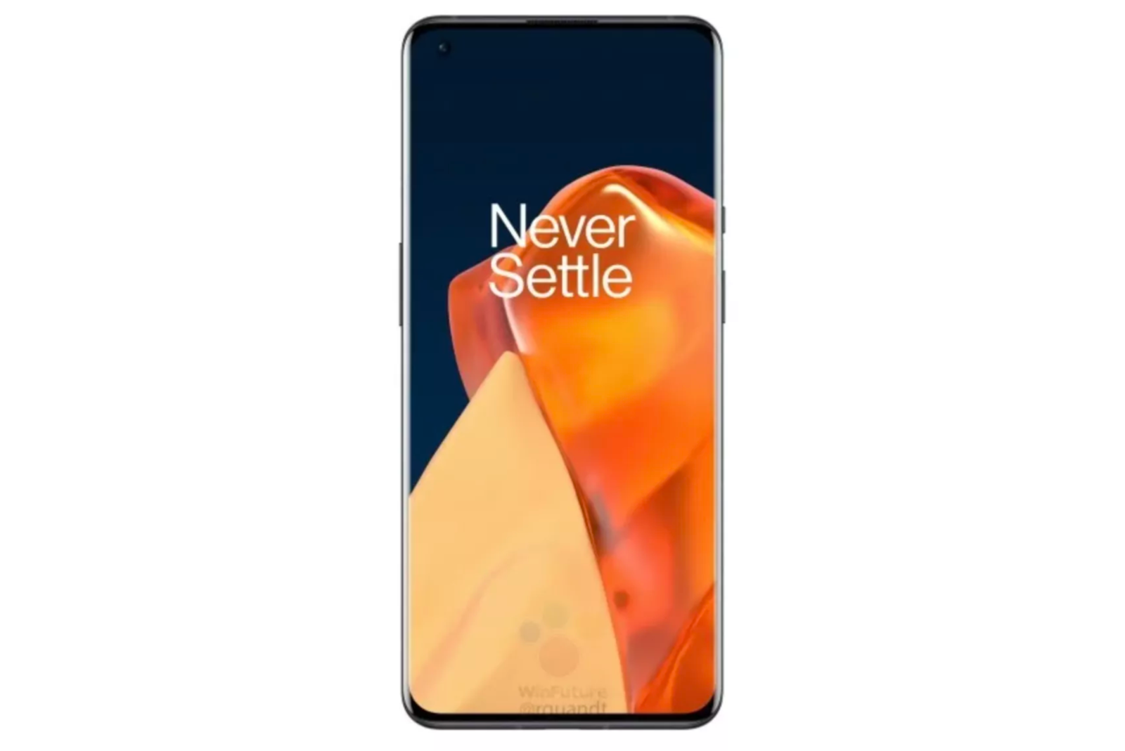 Leaked OnePlus 9 Pro and OnePlus 9 renders leave little to the imagination 2 photo 1