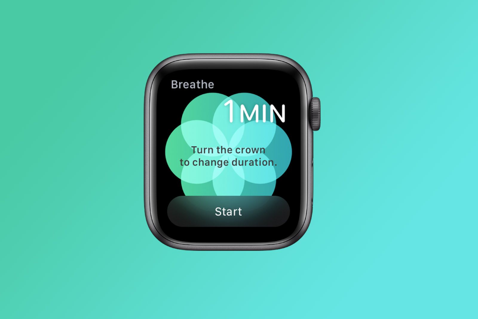 New version of Apple Watch Breathe app suggested in code photo 1
