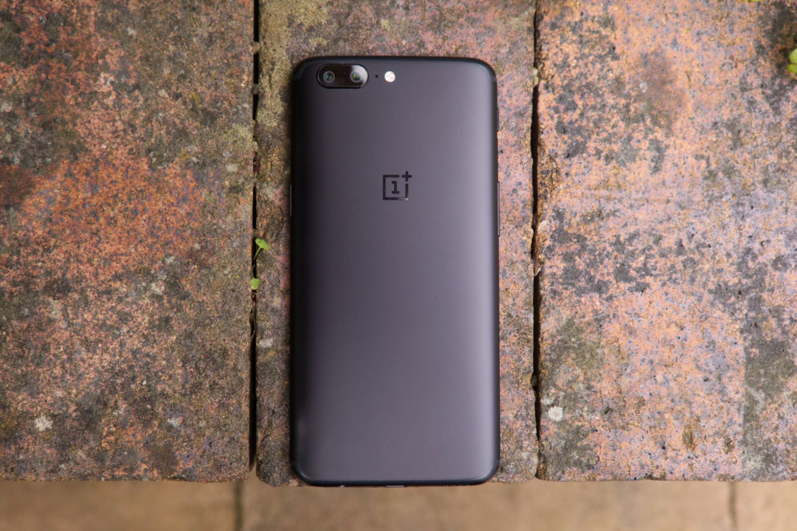 The OnePlus experiment photo 4