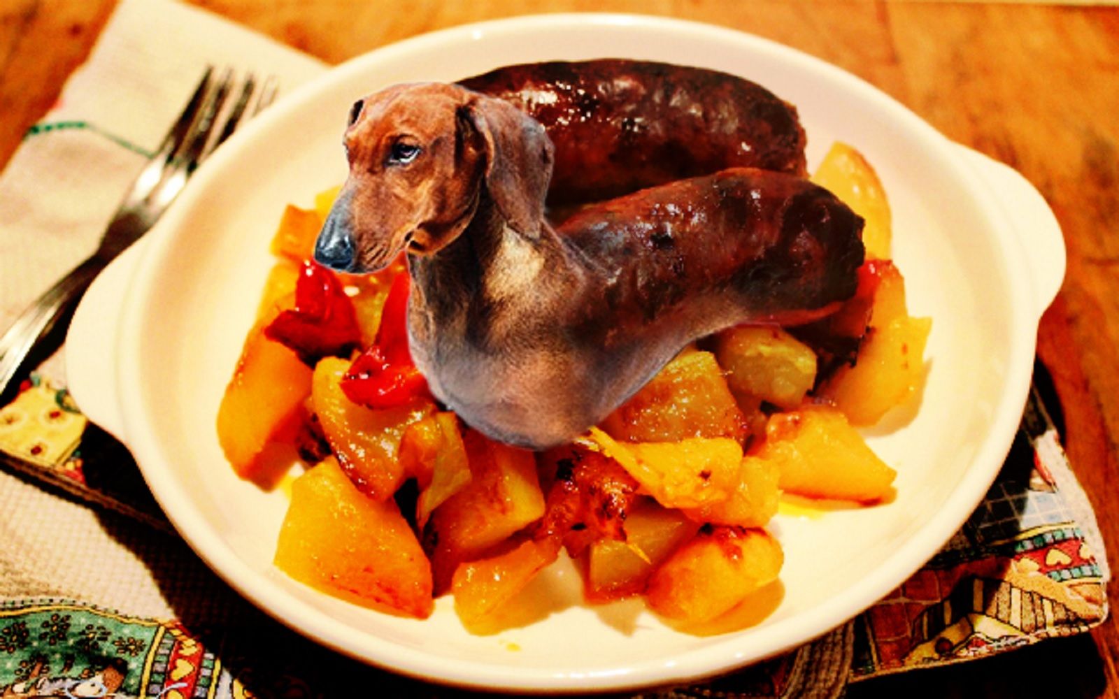 These Photoshop artists have turned pets into delicious foodstuffs photo 11