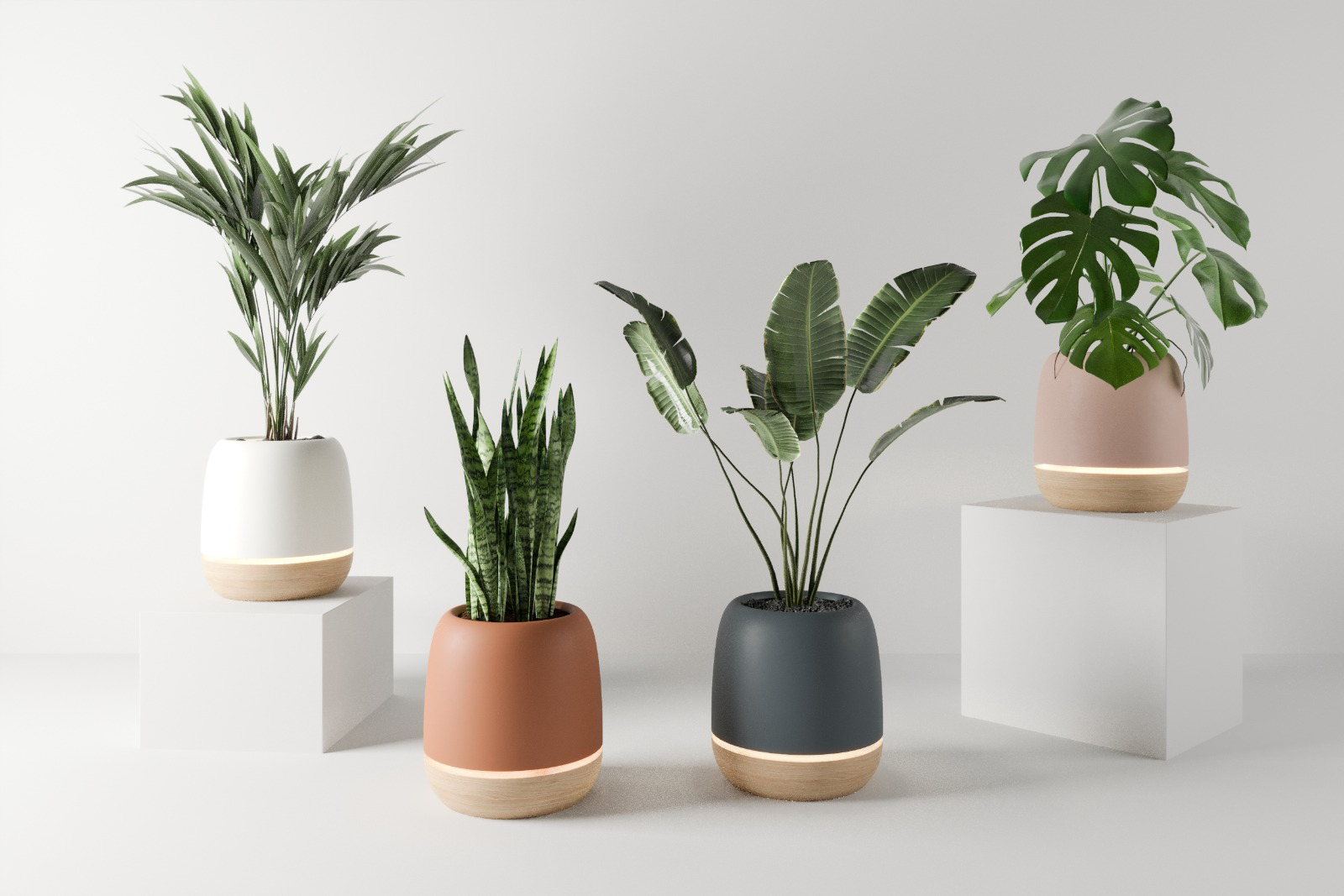 Koru offers a gorgeous smart plant pot that's also an air purifier photo 2