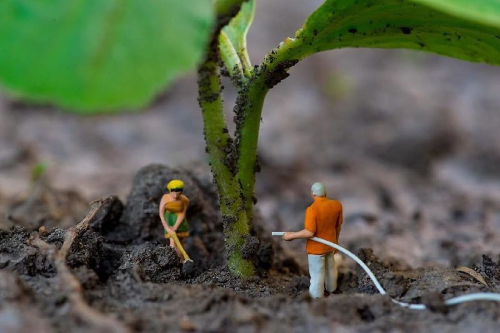 This amazing artist uses tiny figures to create brilliant mini worlds photo 6
