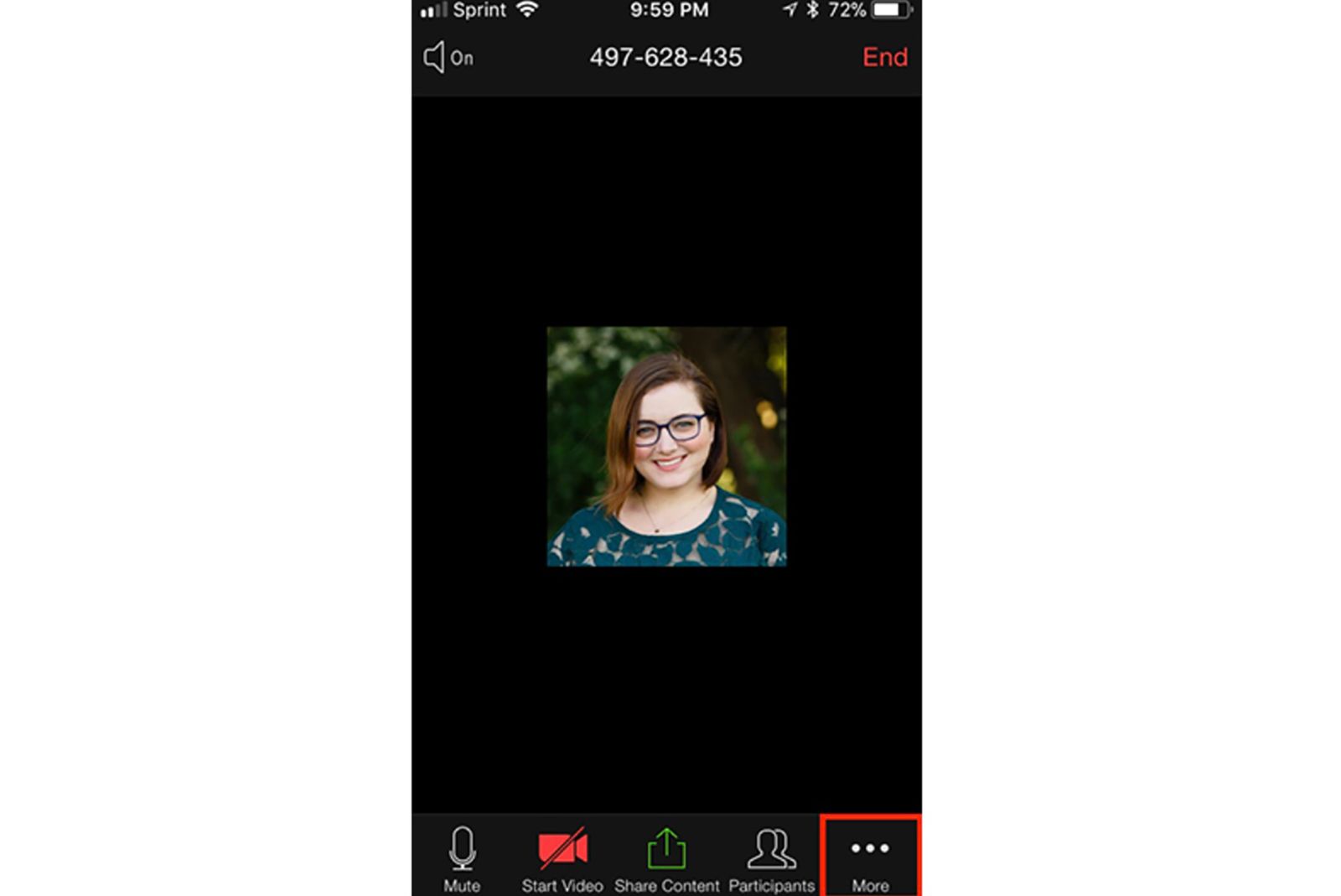 How to use avatars in Zoom: Be a dog or a fox in your next call photo 6