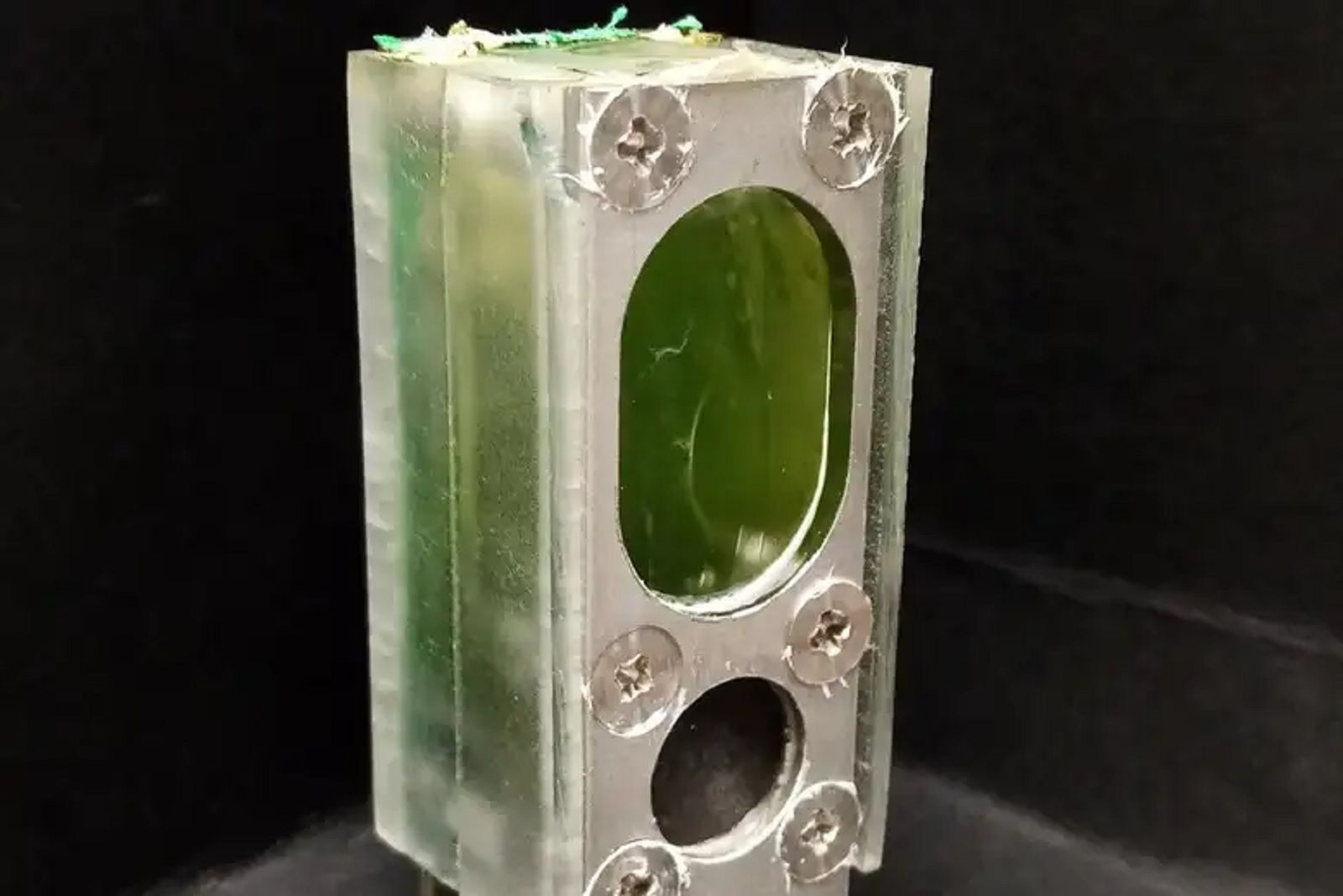 This microcomputer is powered by algae photo 1