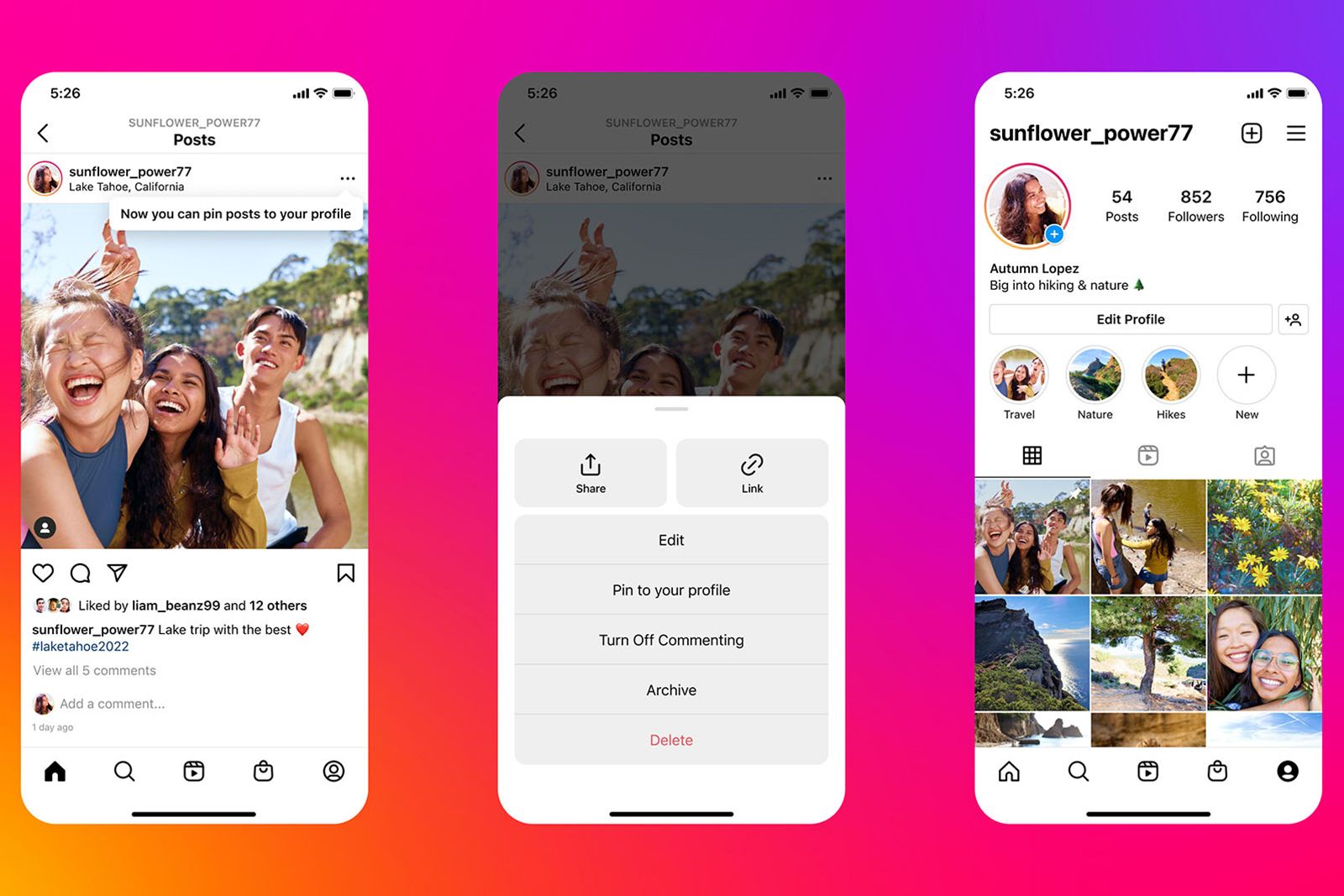 Instagram's latest feature lets you pin posts and reels to your profile photo 1