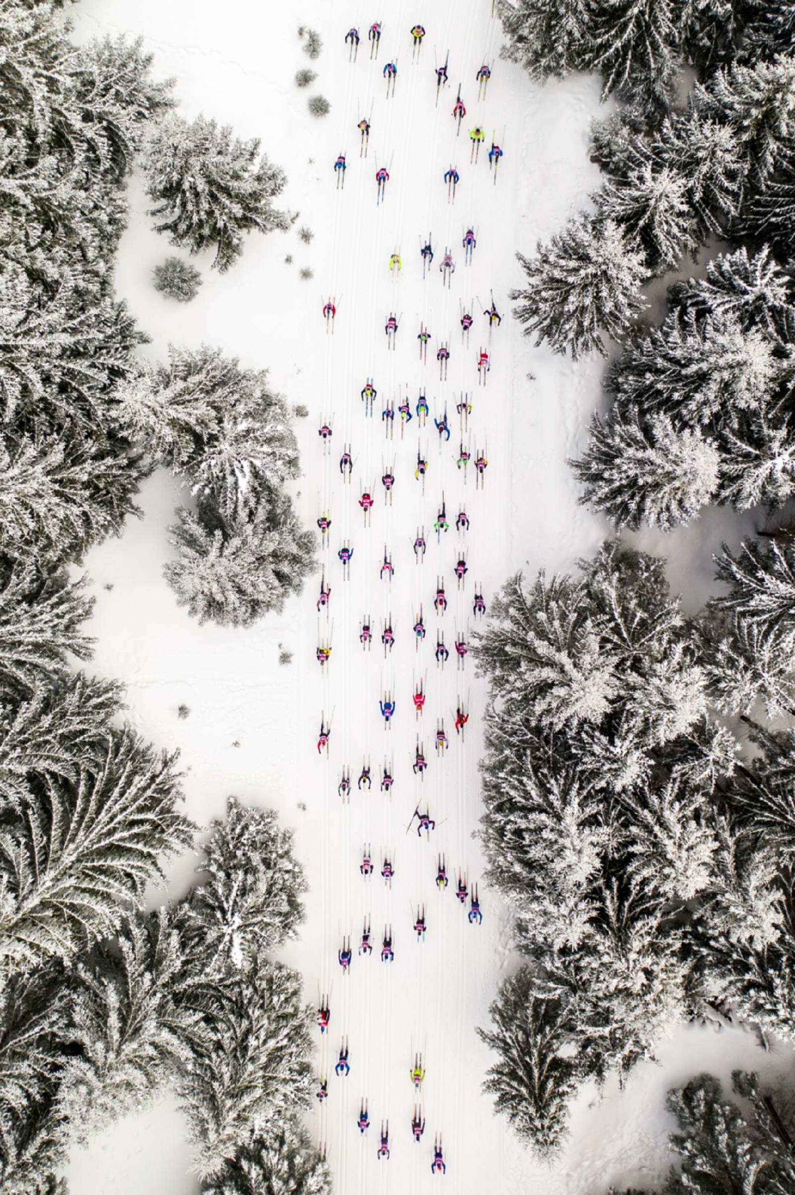 Astounding images from the Drone Photo Awards 2022 photo 5
