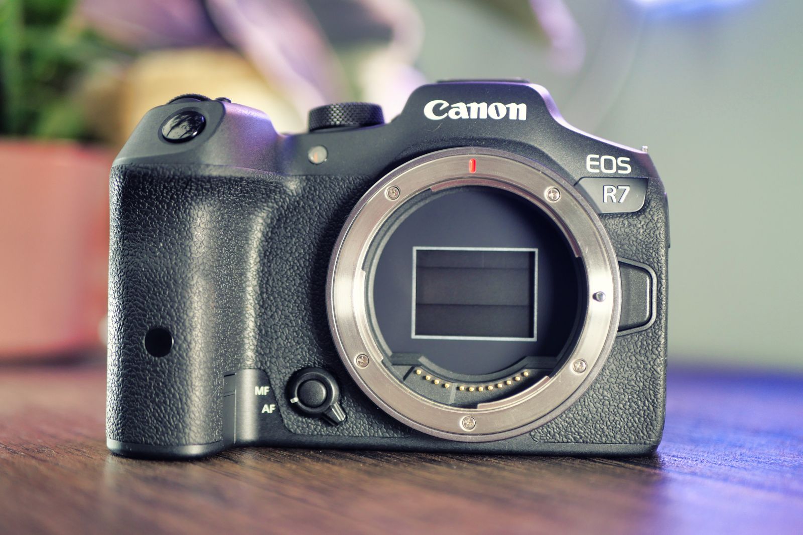 Canon R7 review photo 9