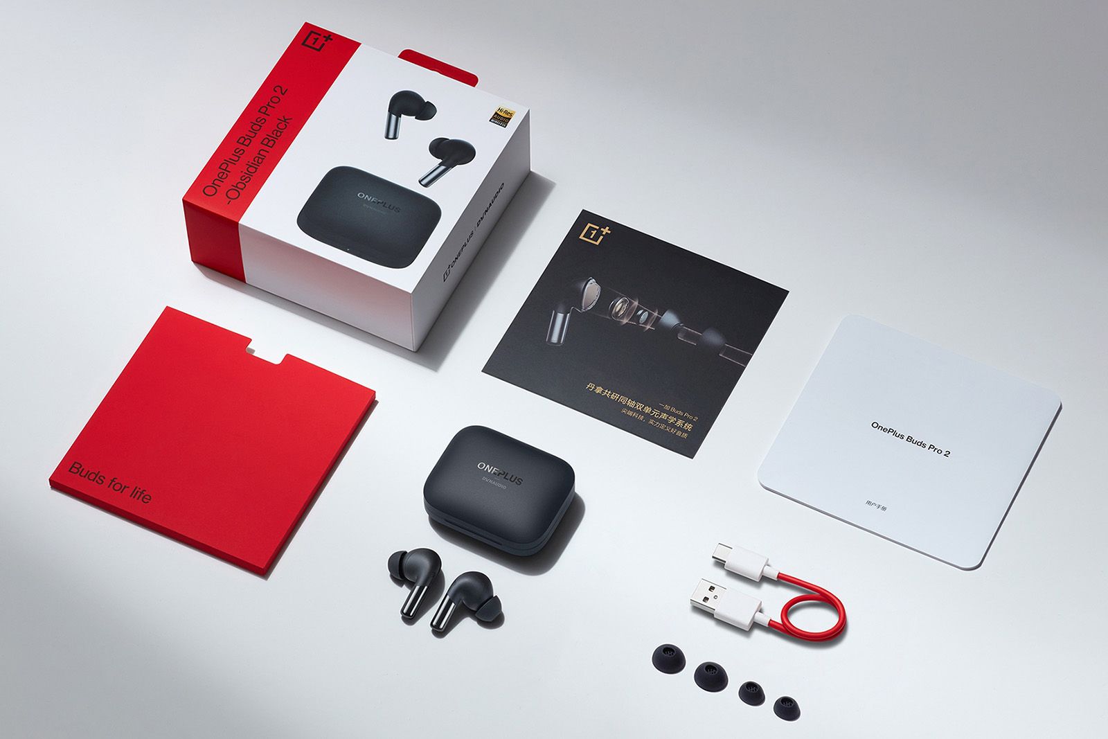 Here are the OnePlus Buds Pro 2 wireless earbuds in all their glory photo 1