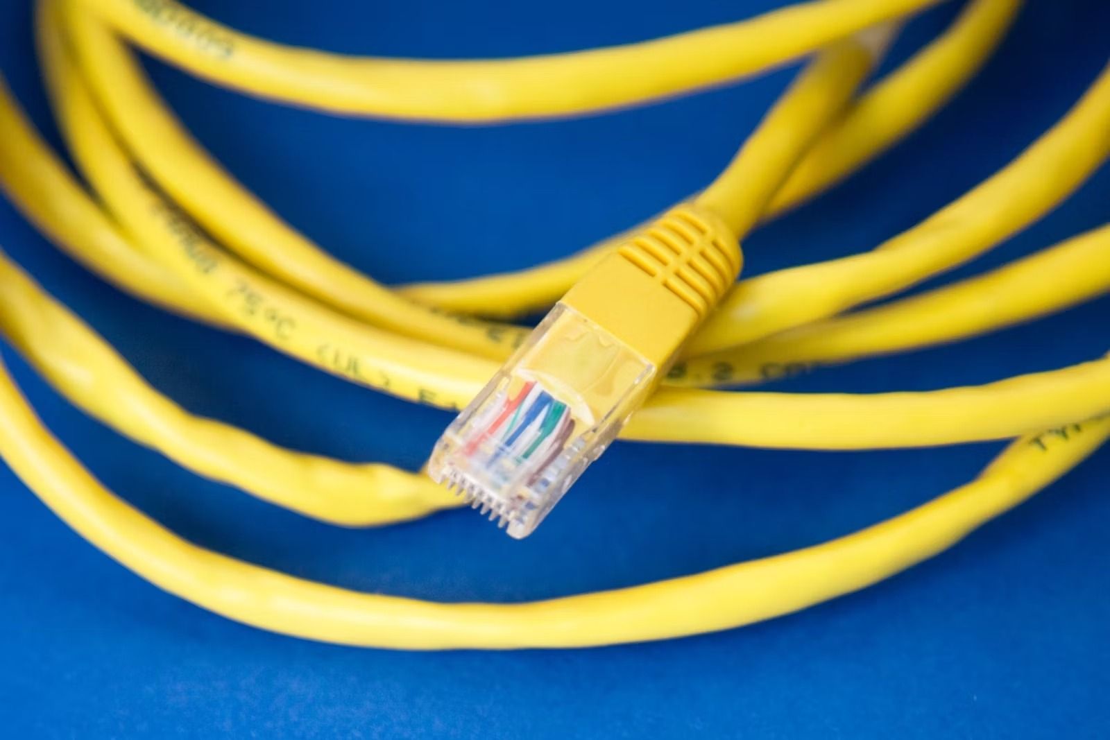 reptielen Sociaal Kilauea Mountain Beste Ethernet Kabels 2023
