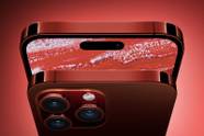 New IPhone 15 Colour Options Tipped Including Dark Red For Pro Models 