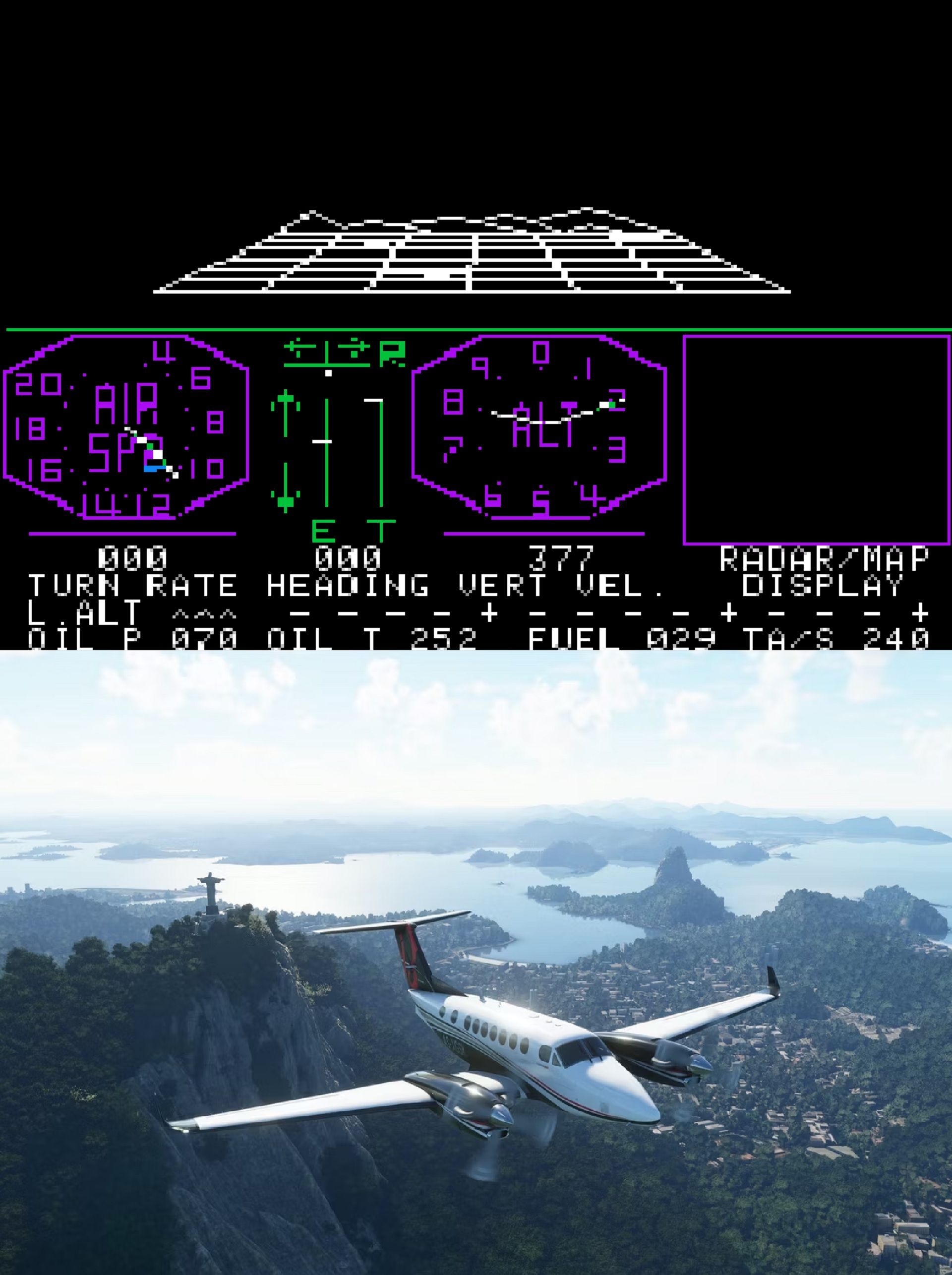 Microsoft Flight Sim