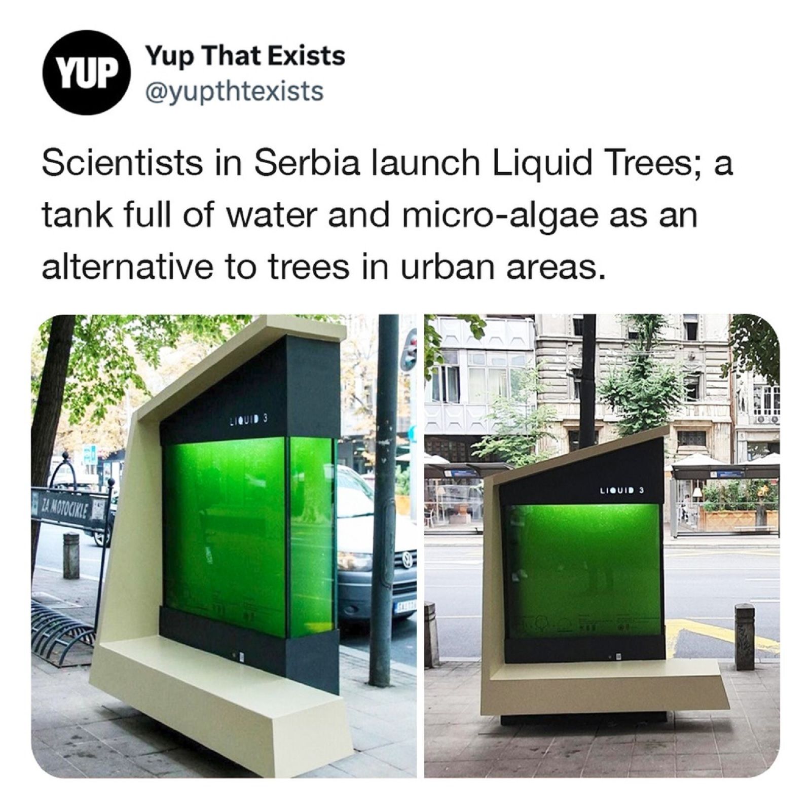 An alternative to trees