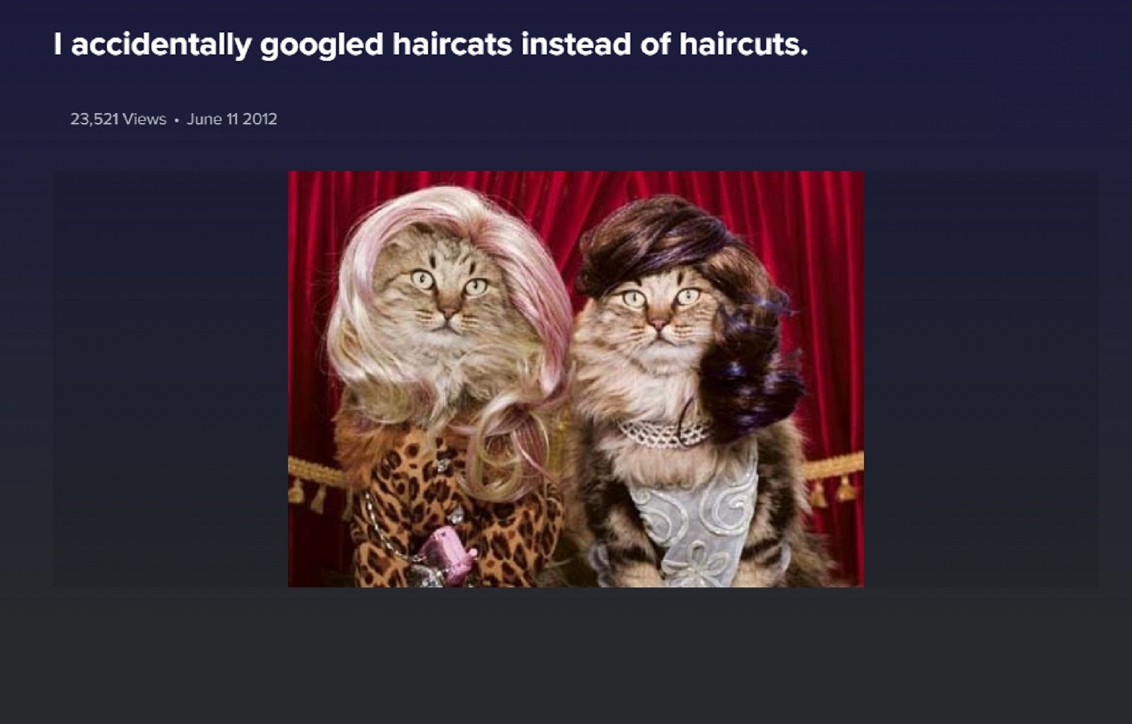 haircats