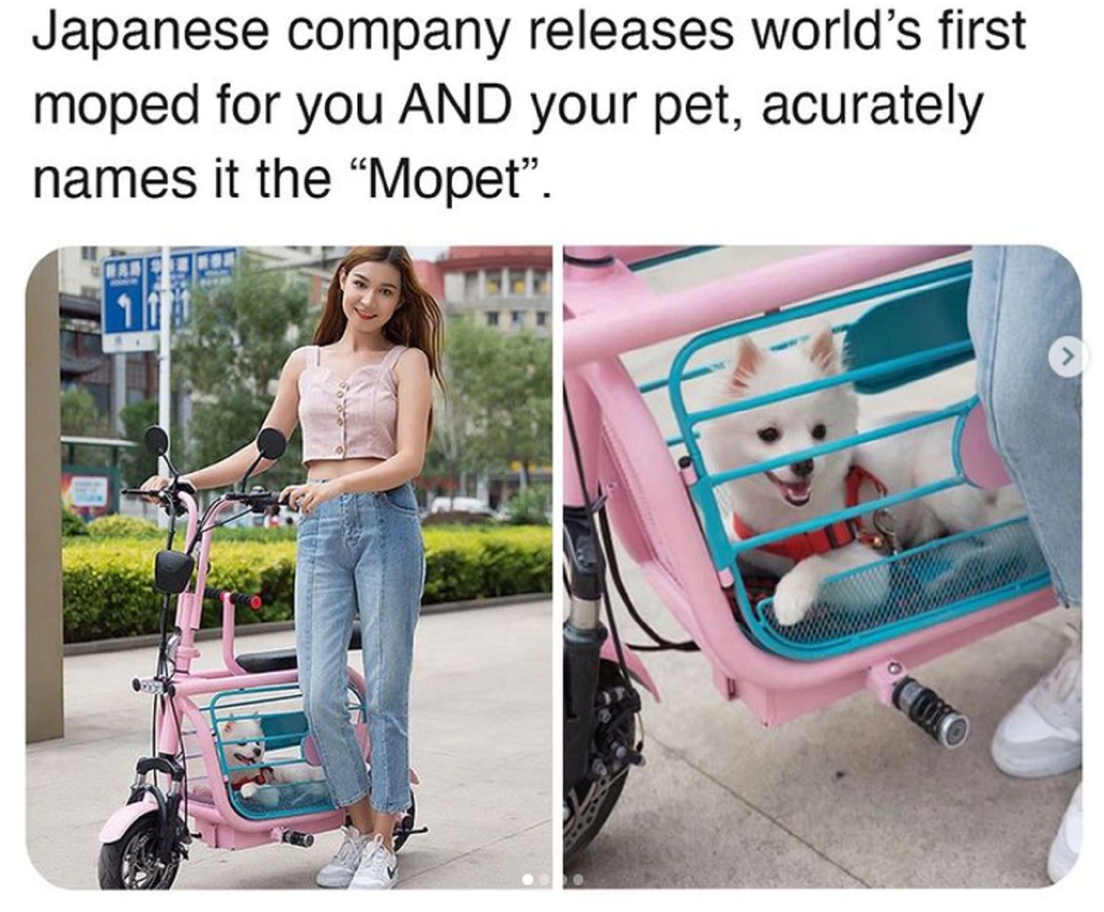 worlds first moped