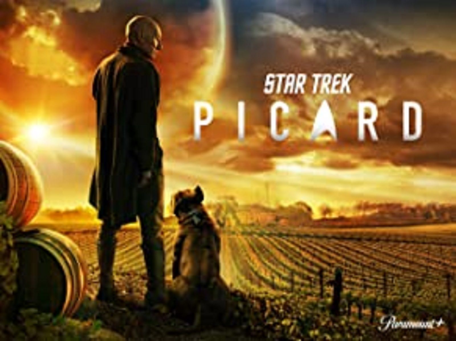 picard star trek movies in order