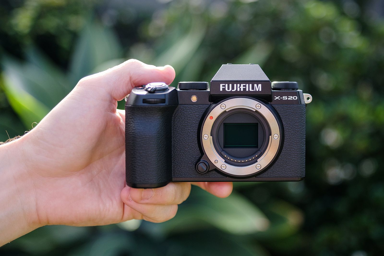 Fujifilm X-S20 (5)-1