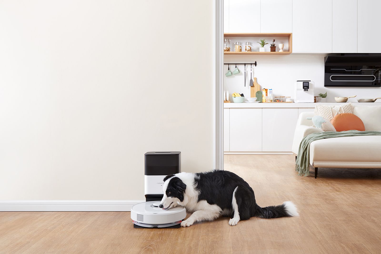 The Roborock Q7 Max + vacuum sits on its dock next to a black and white dog