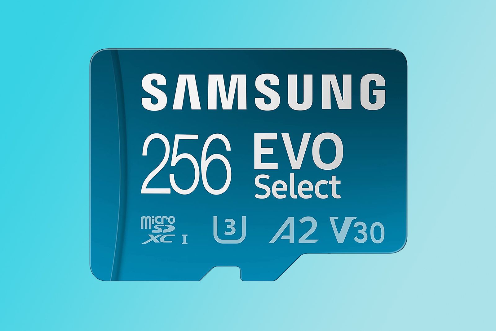 Samsung Evo Select 256GB microSD