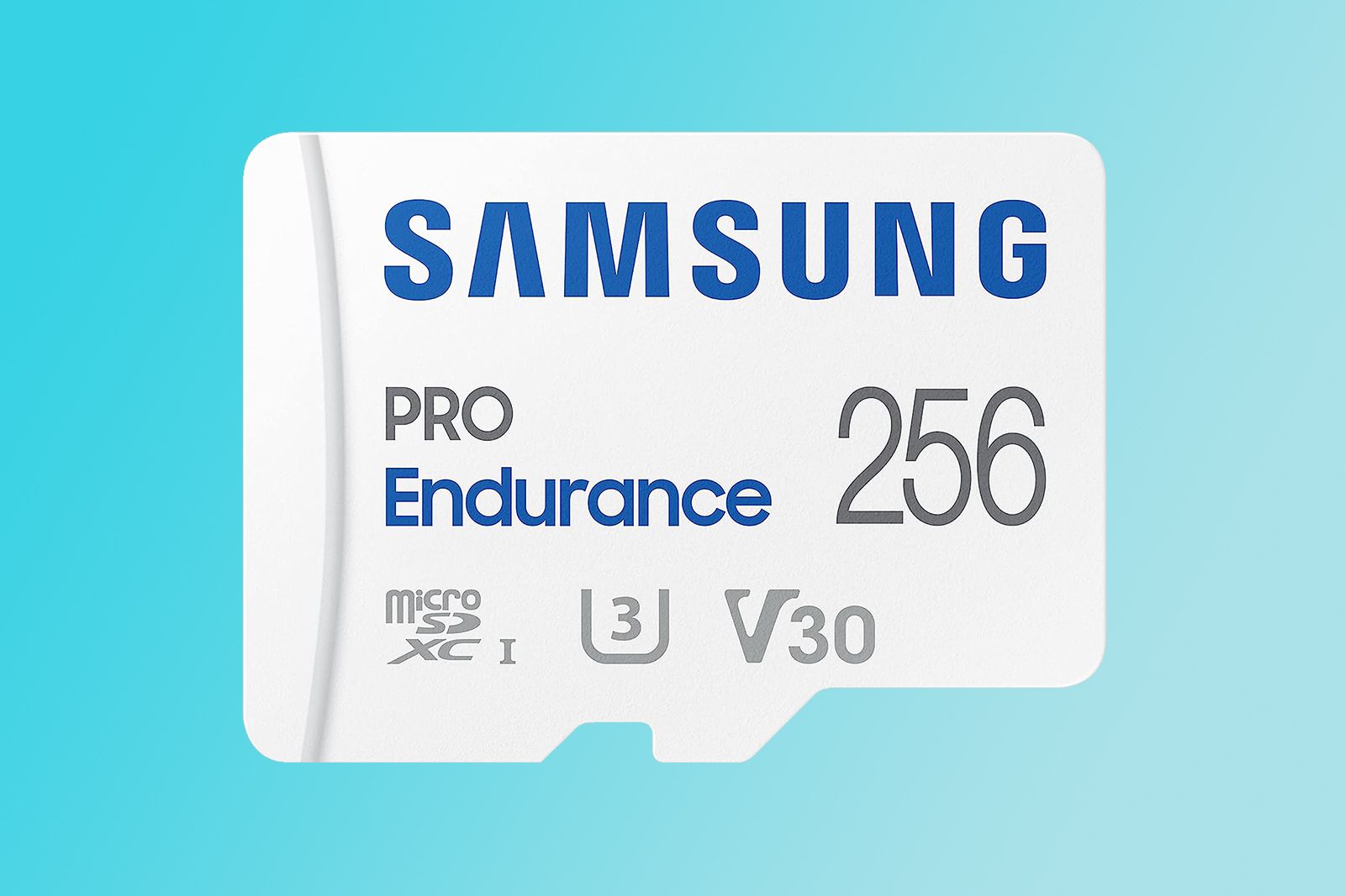 Samsung Pro Endurance 256GB microSD