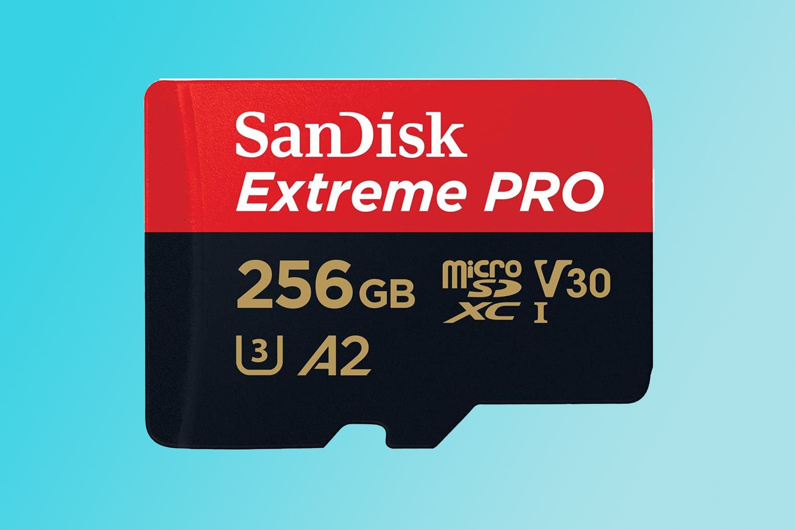 SanDisk Extreme Pro 256GB microSD