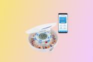 Best Smart Pill Dispenser 2024 Best Smart Pill Dispenser 2024