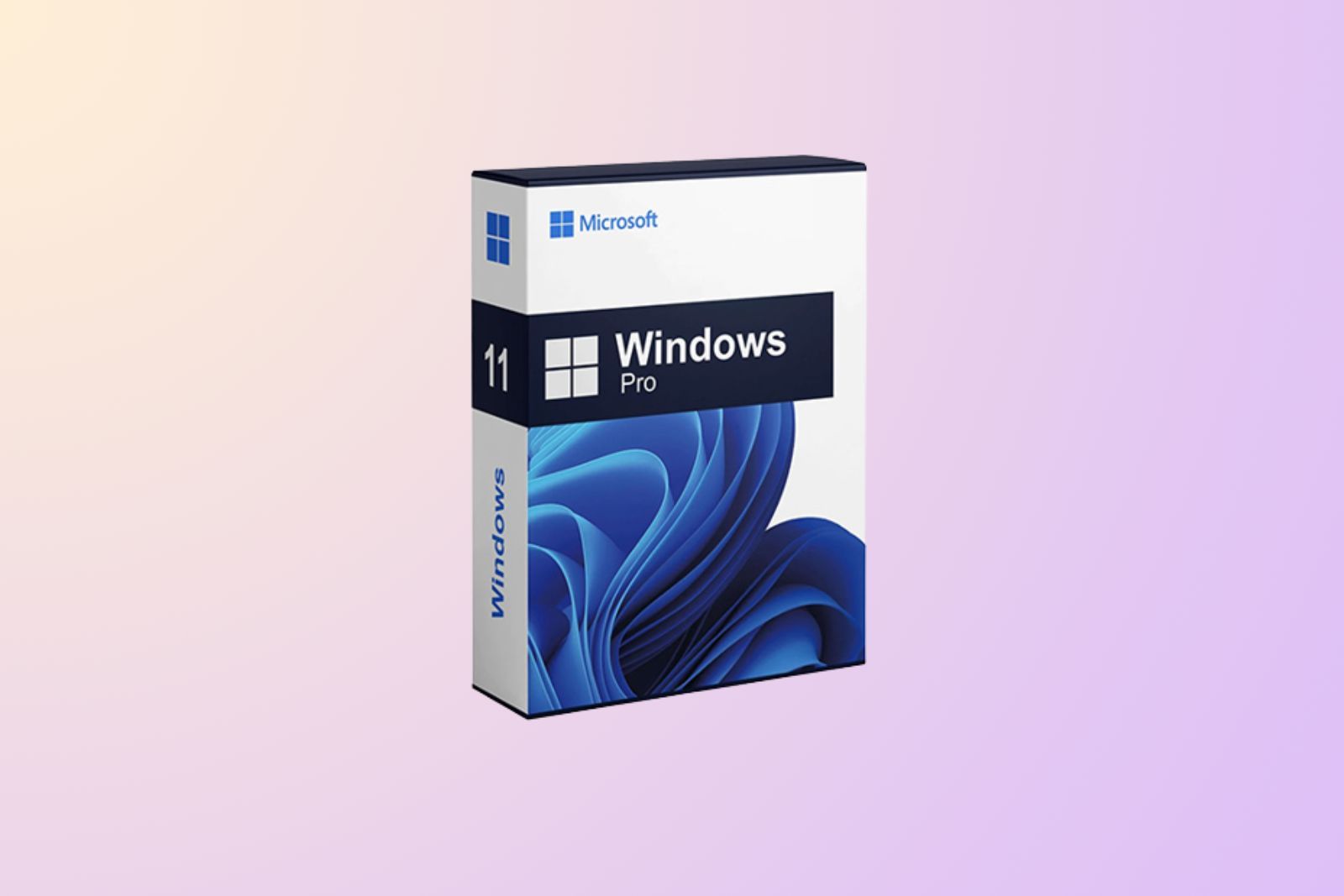 Windows 11 Pro FI