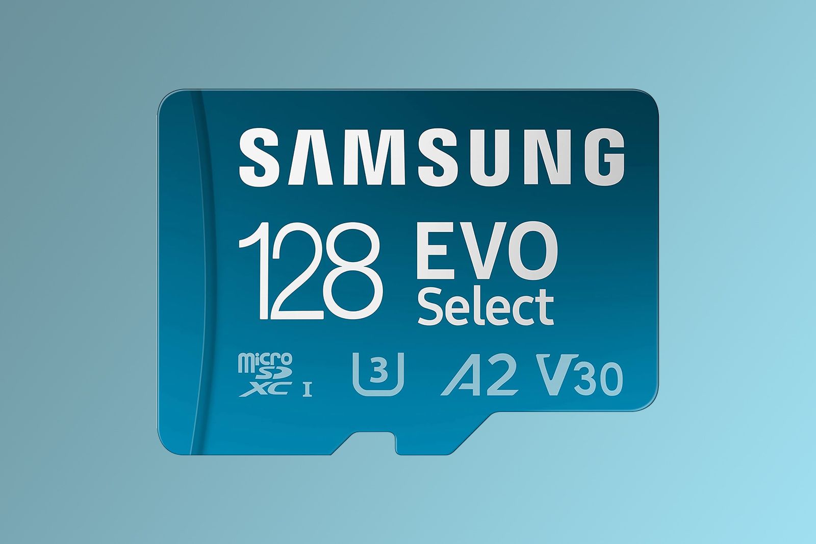 Samsung Evo Select 128GB
