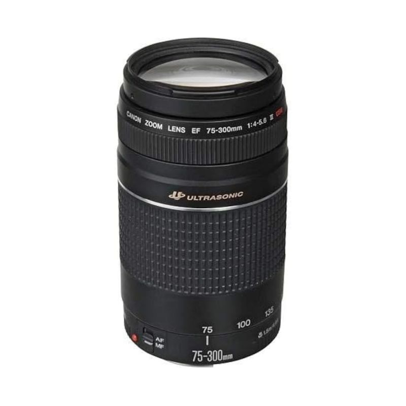 Canon EF 75-350mm Lens