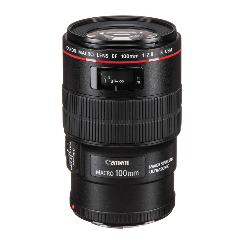 Best DSLR lenses 2024