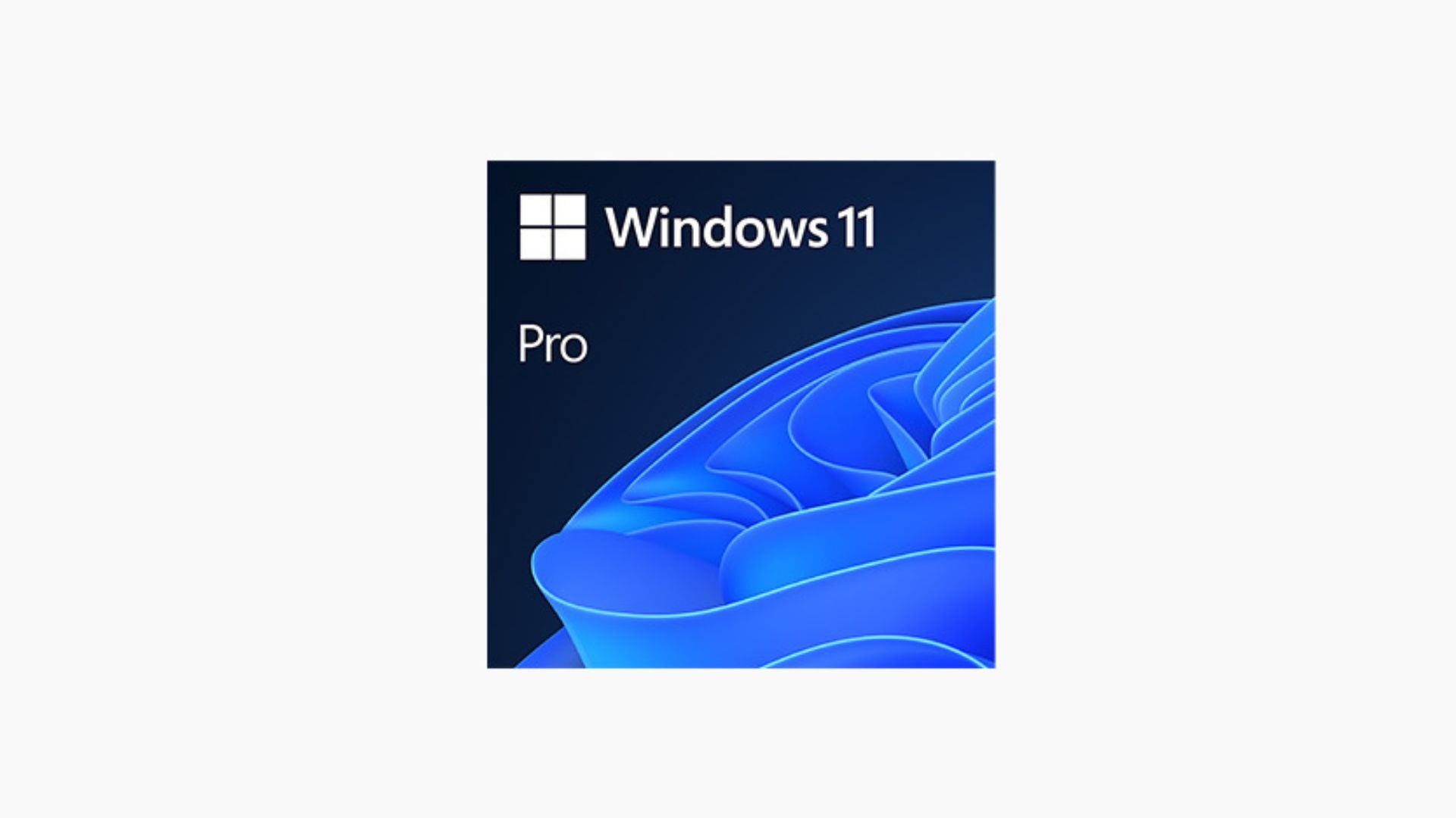 image of the Windows 11 Pro software logo