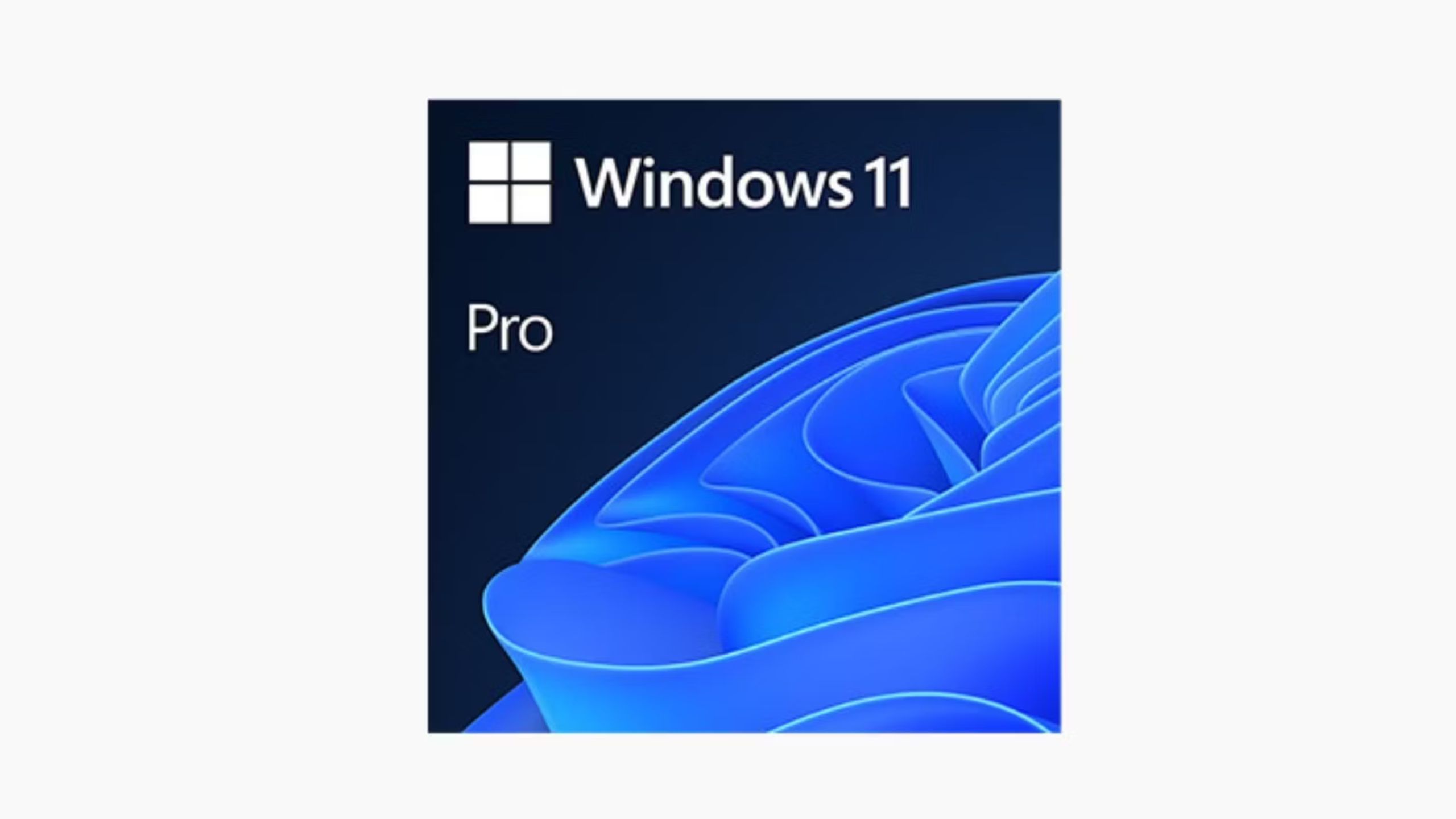 windows 11 pro logo