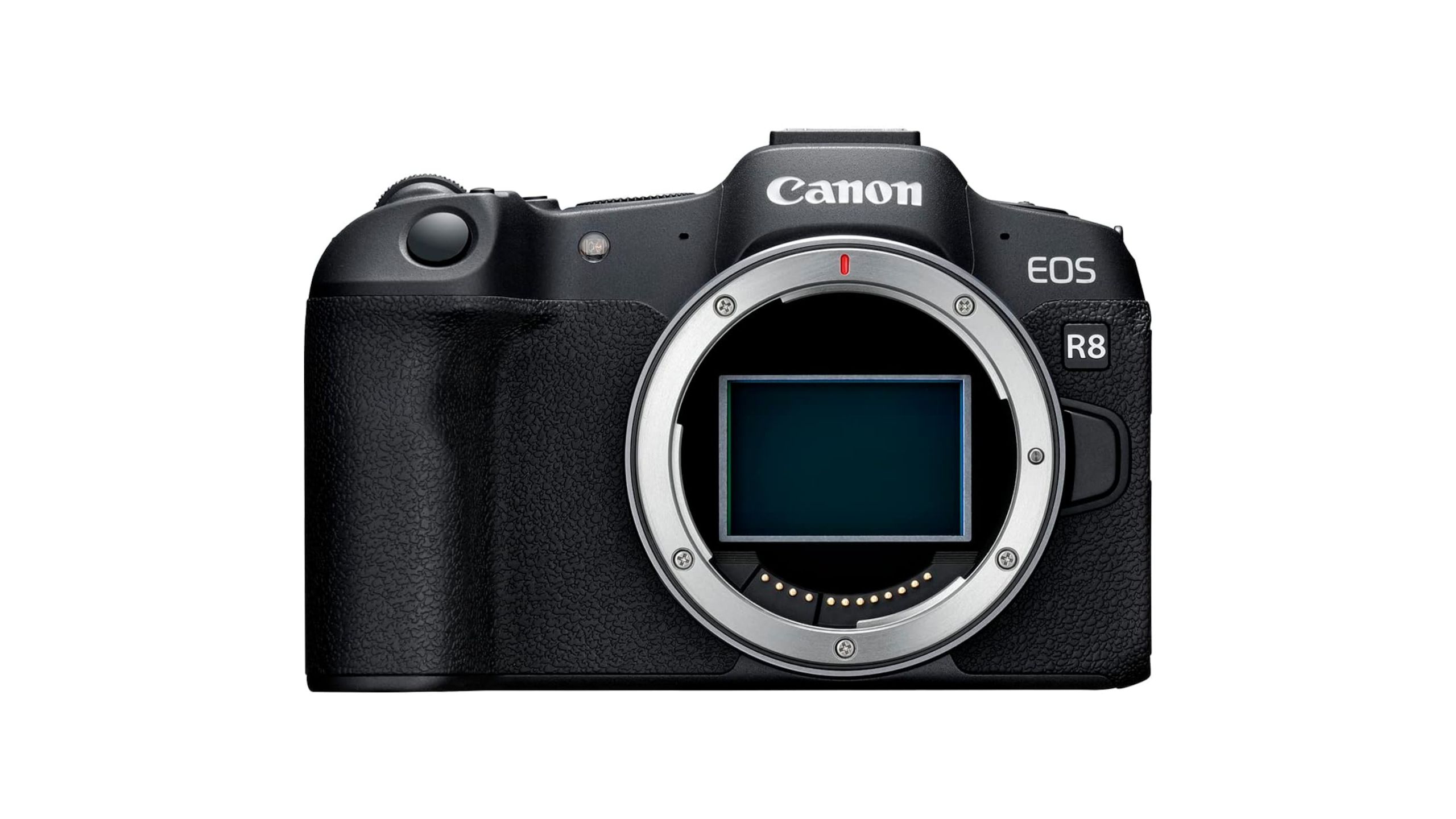 Best Canon cameras 2024