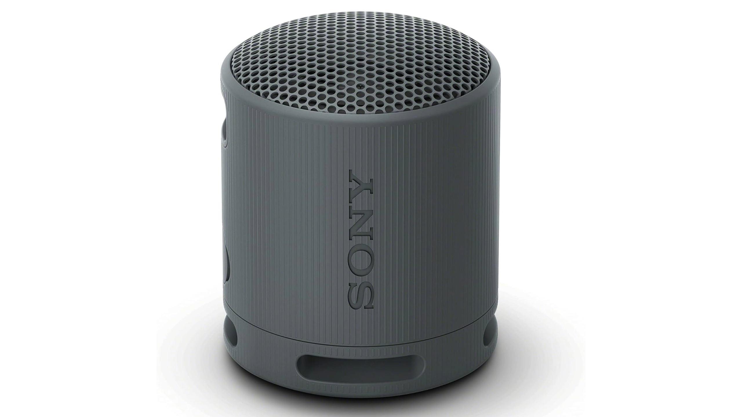 Sony-SRS-XB100